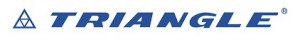 Logo_Triangle_C100M70